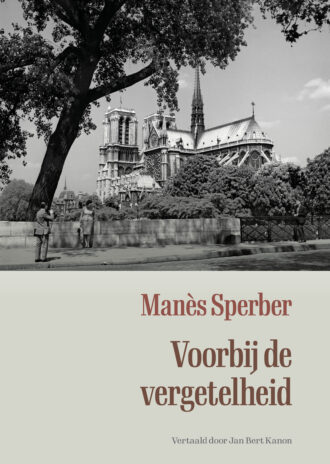 Voorbij de vergetelheid e-book